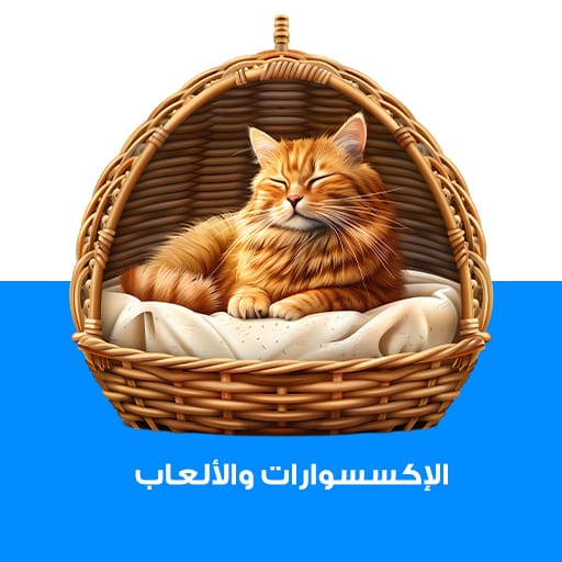 الإكسسوارات والألعاب