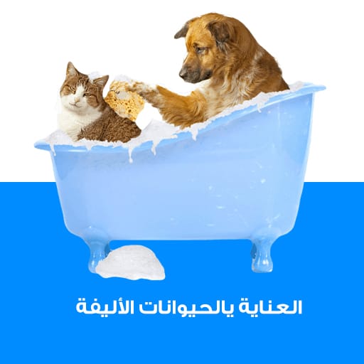 العناية يالحيوانات الأليفة